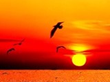���� �� ��� ���� ����