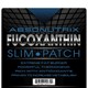 Absonutrix Fucoxanthin Slim Patches 30 Patches Extreme Fat Burner