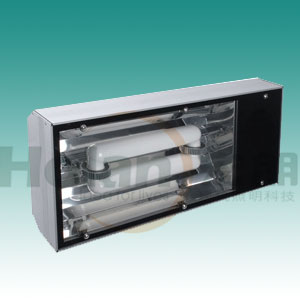 Tunnel light