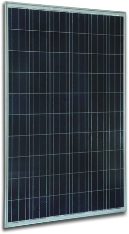 6 Inch Polycrystalline Solar Panel -  225W - 245W