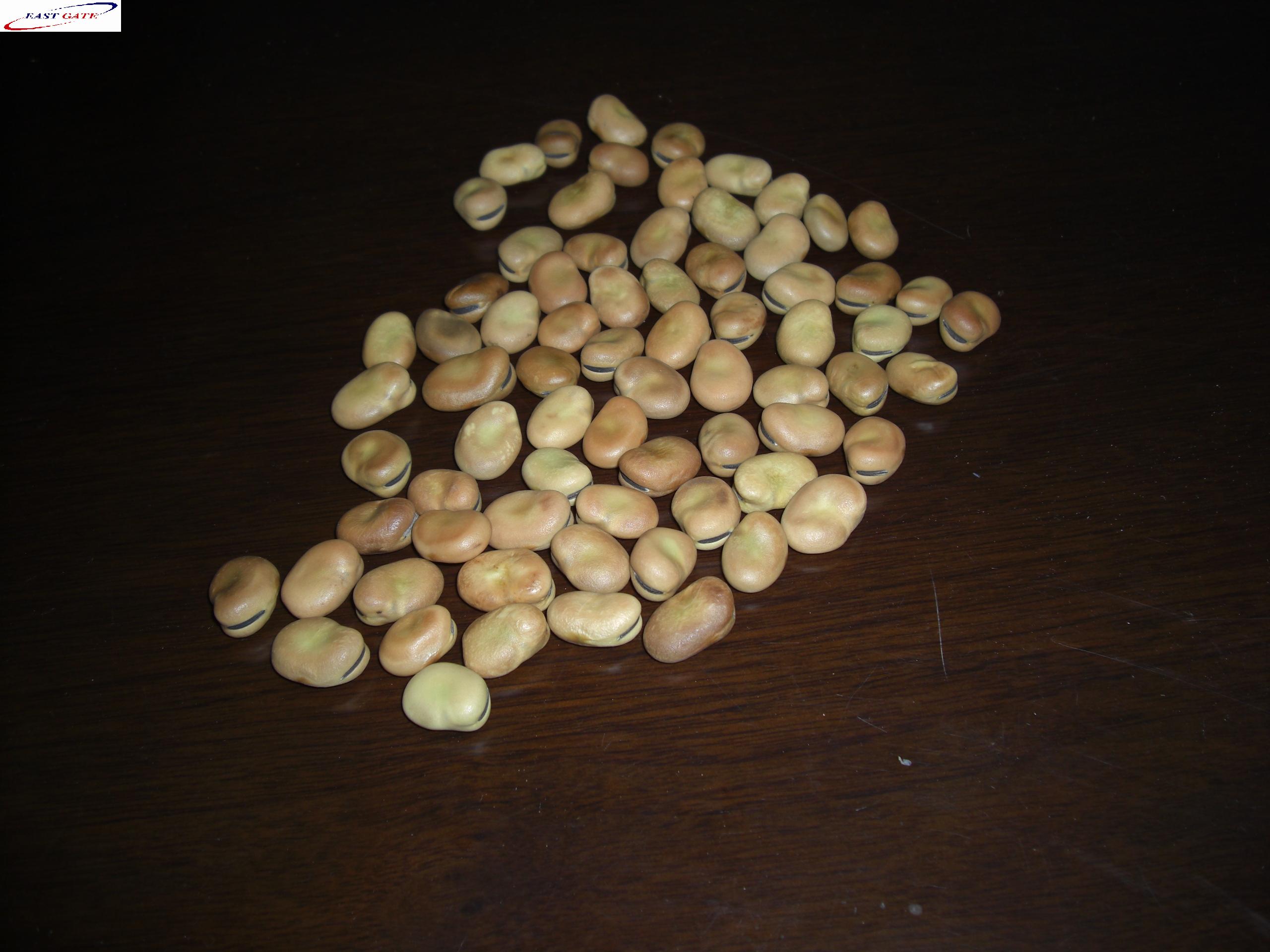 broad beans