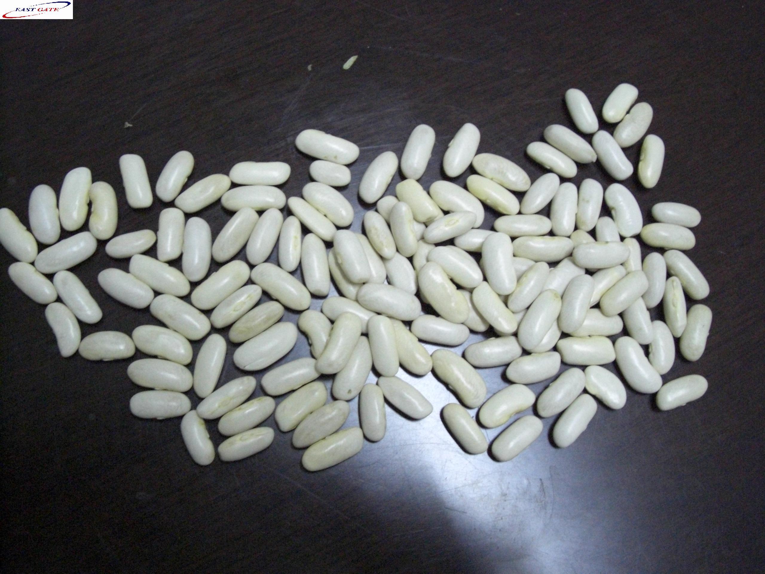 white kidney beans