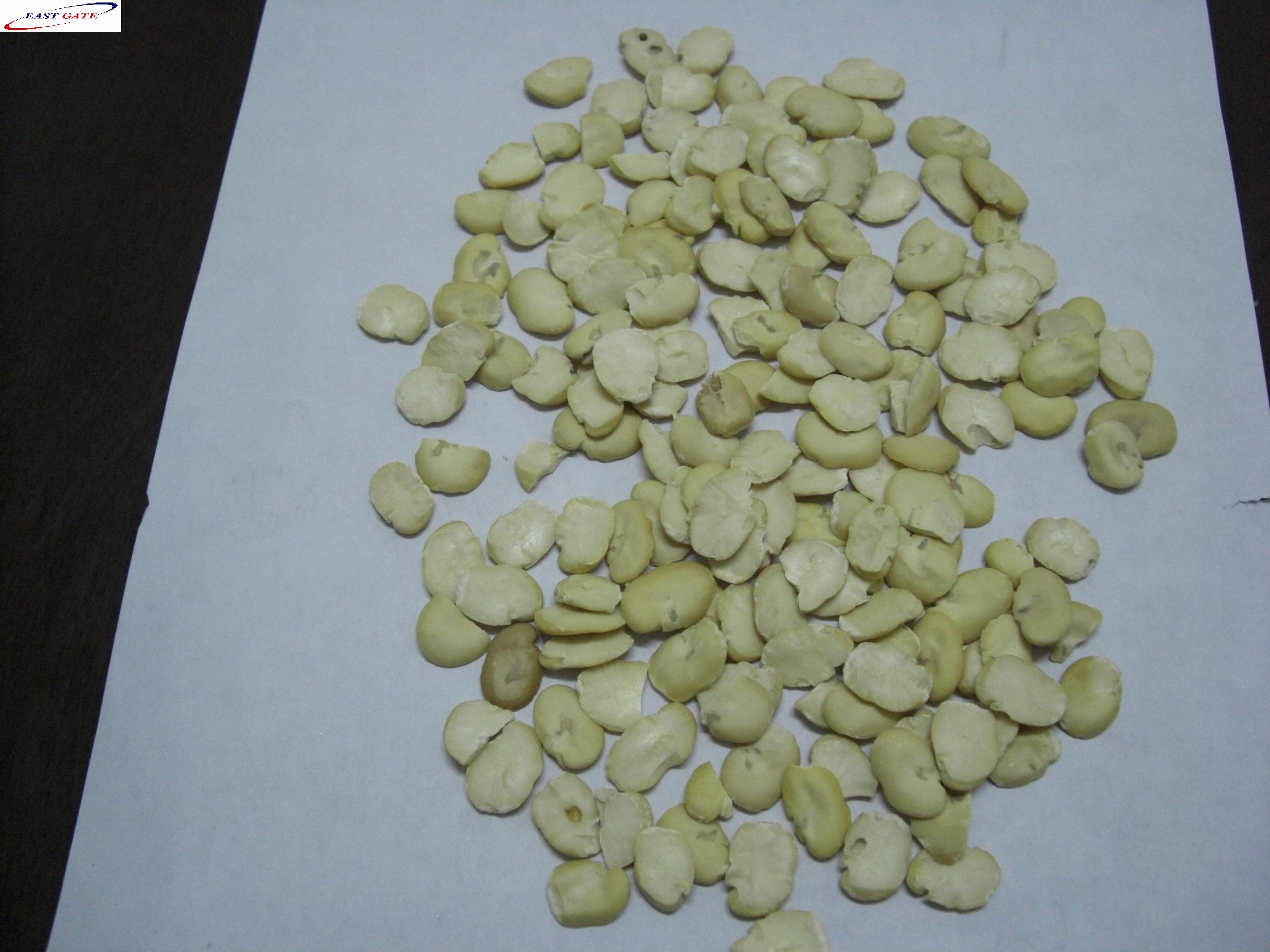 split broad bean