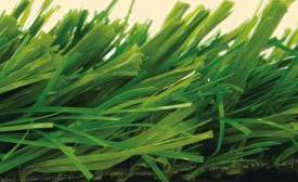 synthetic lawn