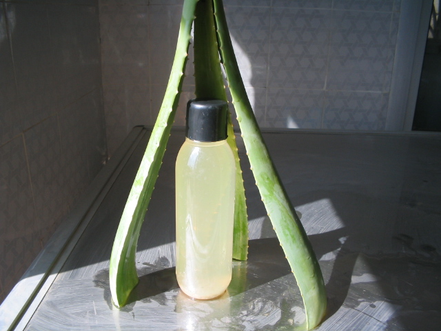 ����� ������ ������ ���� ������