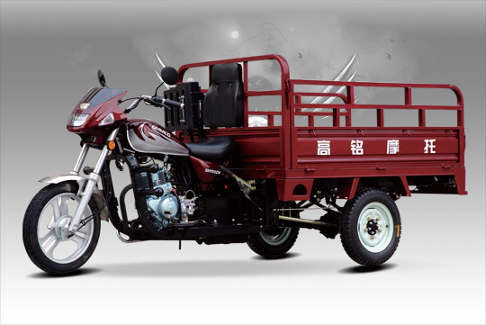 tricycle -  3 wheeler -  3 wheel motorcycle -  three Wheeler -  auto rickshaw11