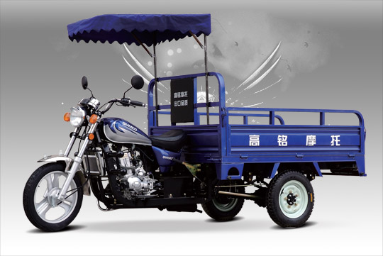 tricycle -  3 wheeler -  3 wheel motorcycle -  three Wheeler -  auto rickshaw12