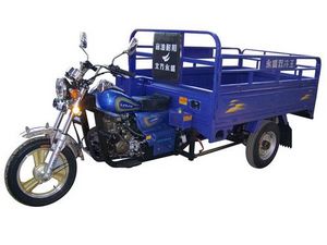 tricycle for carrying goods
