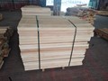 Beech wood sawn timber