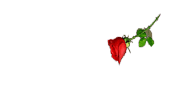 src=/iuserfiles/197632/image/21e95b9c55cv2xm9.gif