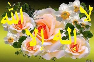 yarabyarheem