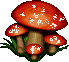 MASHROOM