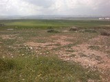 ارض للبيع زراعية مميزه قرب جامعة اربد الاهلية تصلح مزرعه مطلة ومميزه جدا