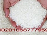 تصدير ارز مصرى من مضاربنا مباشرتا ارز تصدير egyptian rice