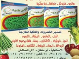 شركة النهضة للاستيراد والتصدير الفواكه والخضراوات الفرش والم