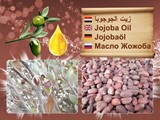 زيت الجوجوبا