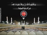 عمرة المولد النبوى الشريف 2012 م عمرة المولد النبوى الشريف 1
