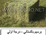 متوفر لدينا برسيم مجفف برسيم حجازى برسيم الدريس الحجازي دريس