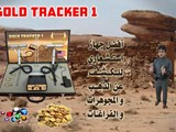 GOLD TRACKER1 metal detector