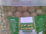زيتون مصري للتصدير