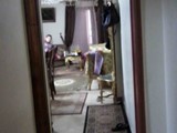 شقة بالهرم لقطة قانون قديم
