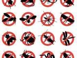 saftey chemical for pest control