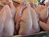 Frozen Whole Chicken