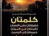 تاجر بورسعيدى يطلب شريك للاستيراد