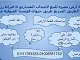 أرض للبيع بقويسنا المنوفيه مصر