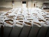افتراضي دقيق وزيت السمك fishmeal Fish Oil من المغرب