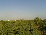 مزارع للبيع في مصر Farms for sale in Egypt