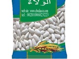 فاصوليا بيضاء مصريه درجة اولي للتصدير