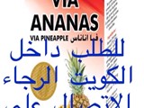فيا اناناس الكويت صناعه فرنسيه عرض خاص فقط 12 دينار