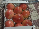 رمان مصرى عالى الجوده لتصدير fresh pomegranate