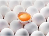 بيض المائدة ابيض تركي جميع الاحجام