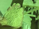 نخالة القمح Wheat bran