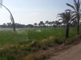 30فدان زراعي واستثماري كامله المرافق 40ك من الهرم