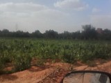 للبيع مزرعة 10 فدان فيلا نصف تشطيب