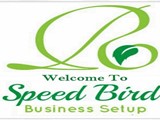Business Setup in Dubai PRO Services Typing Services