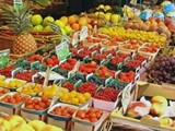 شركة MAA Training تصدر جميع المنتوجات الفلاحية