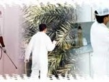 مكافحة جميع أنواع الحشرات الزاحفة والطائرة بمبيدات آمنة على