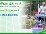 خدمات التنظيف والصيانه ومكافحة الحشرات
