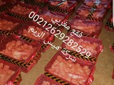 فقع ترفاس الكما مغربي