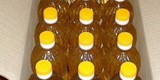 زيت عباد الشمس النقي مئة بالمئة