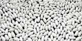 فاصوليا بيضاء مصرية Egyptian white beans
