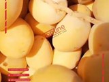 اجود انواع الخضروات والفواكه المصريه للتصدير لجميع الدول باح