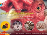 دراسة جدوى مشروع إنشاء مجزر آلى للدواجن