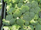 Frozen Broccoli IQF
