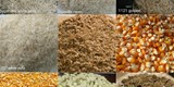كافة المنتجات الغذائية