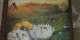 شركة مجموعه الحسينع للتصدير والاستيراد